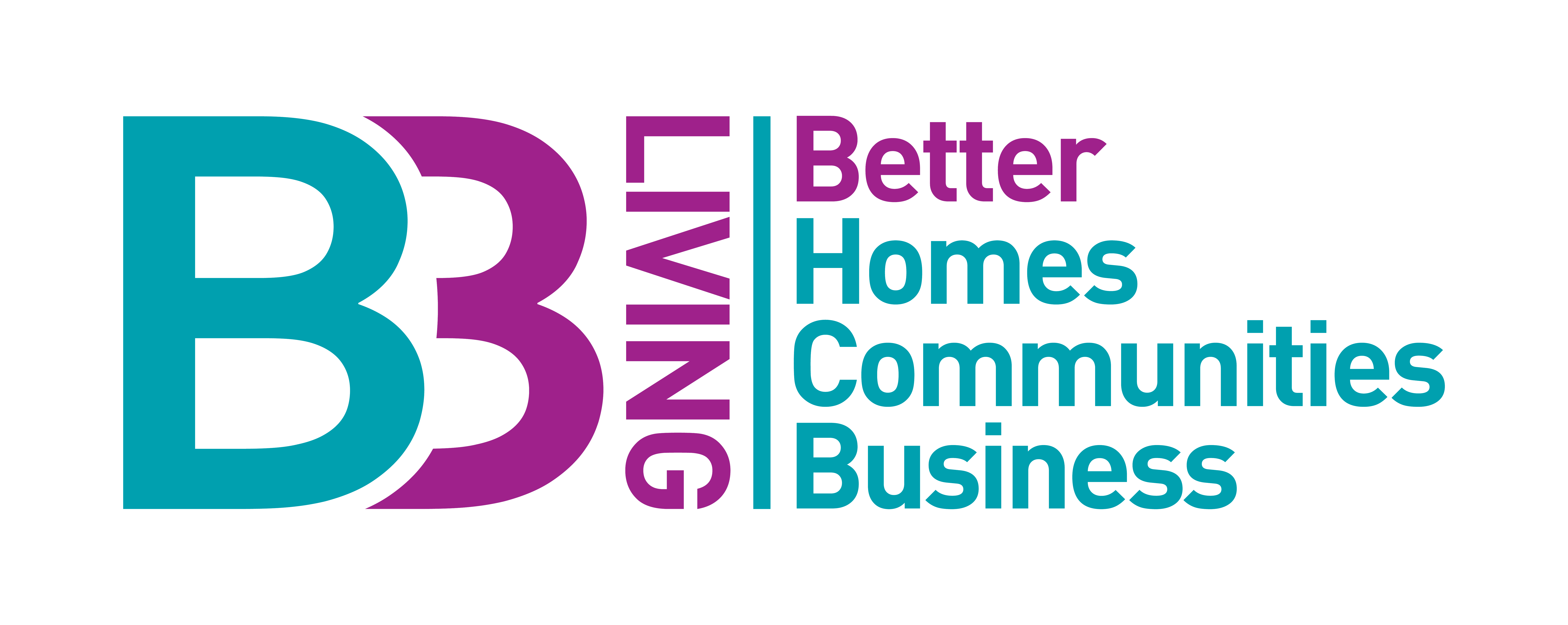 B3 Master Logo Land Ext 01
